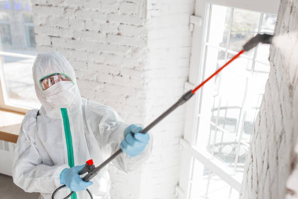 Dehumidification Services in Greencastle, IN