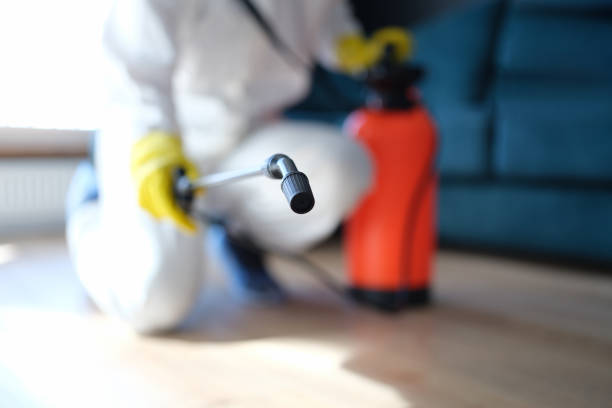 Best Mold Prevention Services  in Greencastle, IN